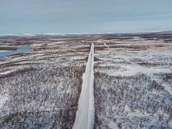 Фото: Vaclav Sonnek/Shutterstock