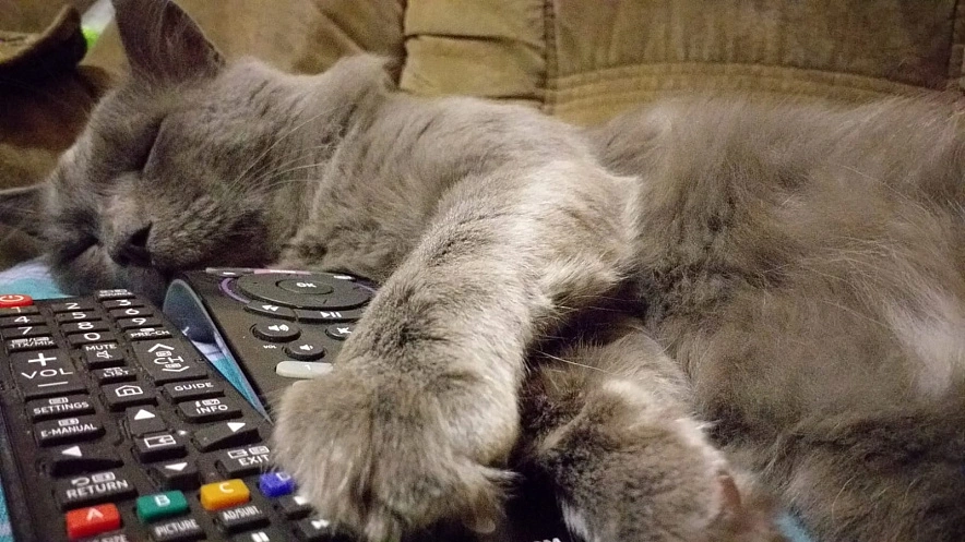 Фото: кадр 1rnd