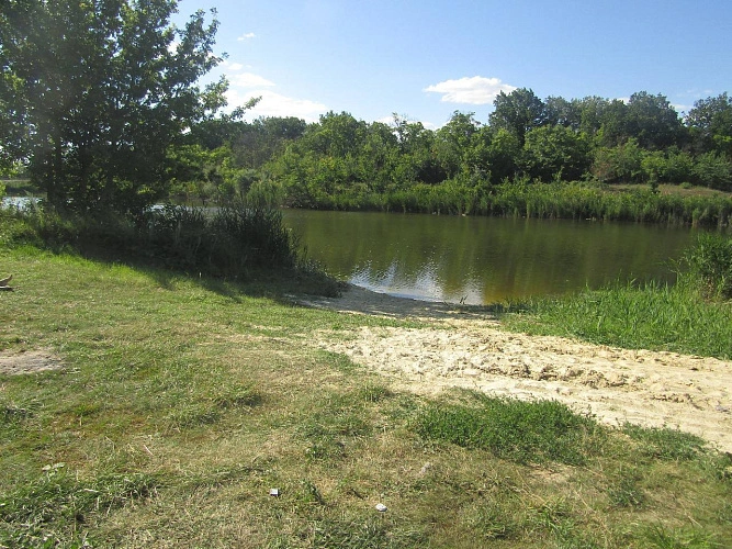 Фото: кадр донского Следкома