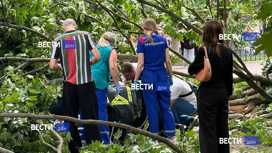 Фото: дерево упало на двух ростовчан на Пушкинской, кадр ТГ Вести.Дон