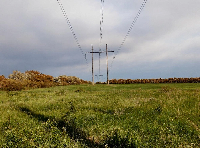 Фото: ТГ замгубернатора Ростовской области