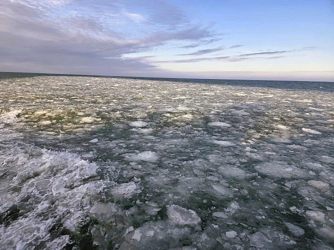 Фото: ФГБНУ "ВНИРО"