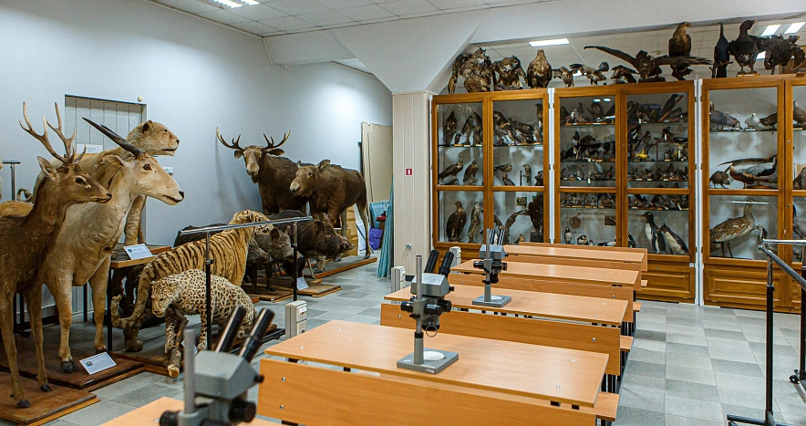 Фото: Зоологический музей ЮФУ, фото пресс-службы вуза