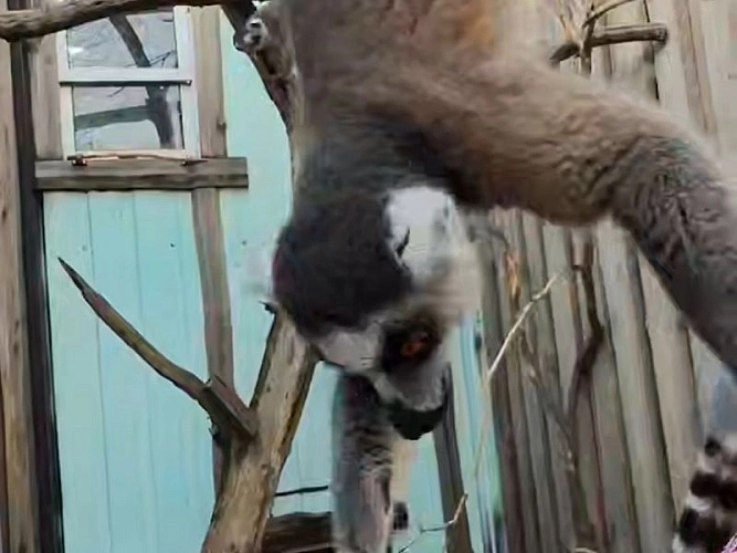 Фото: парк «Малинки»