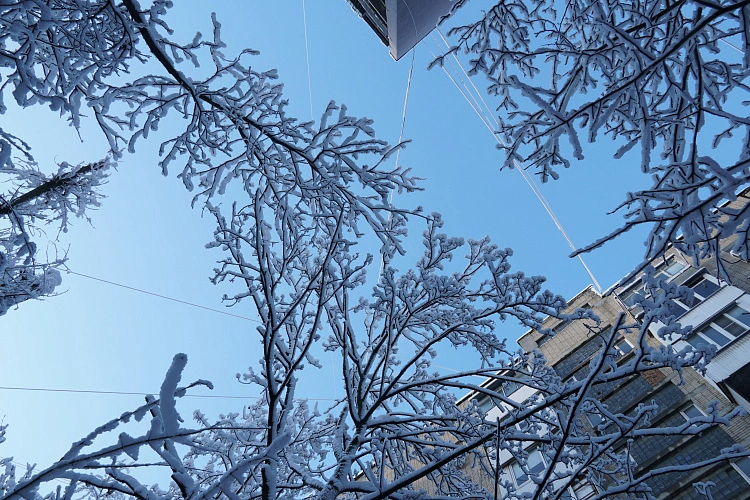 Фото: снегопад в Ростове // кадр 1rnd