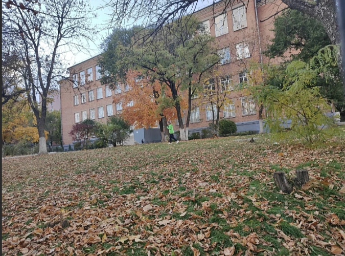 Фото: Яндекс-карты