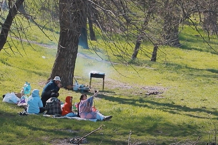 Фото: Пикник в Левобережной роще Ростова, кадр Романа Неведрова
