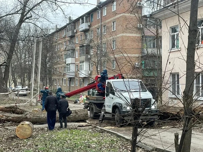Фото: Администрации города Ростова-на-Дону