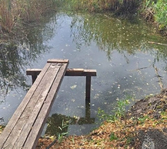 Фото: кадр донского МЧС