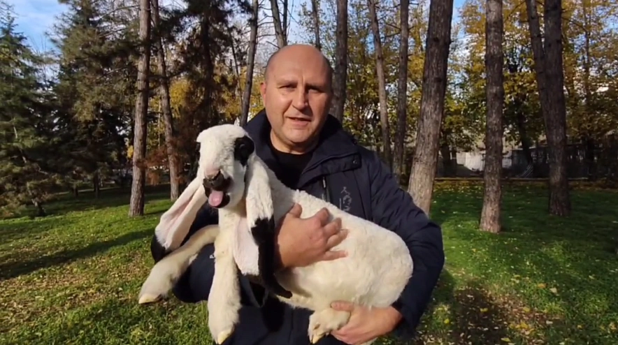 Фото: Ростовский-на-Дону зоопарк