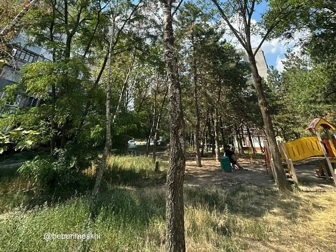 Фото: ТГ канала Бебури Месхи