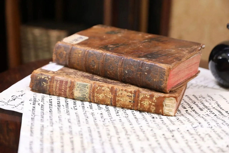 Фото: ТГ канала Анны Дмитриевой