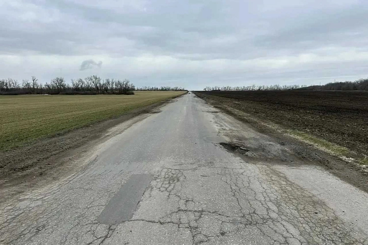 Фото: Правительство Ростовской области 