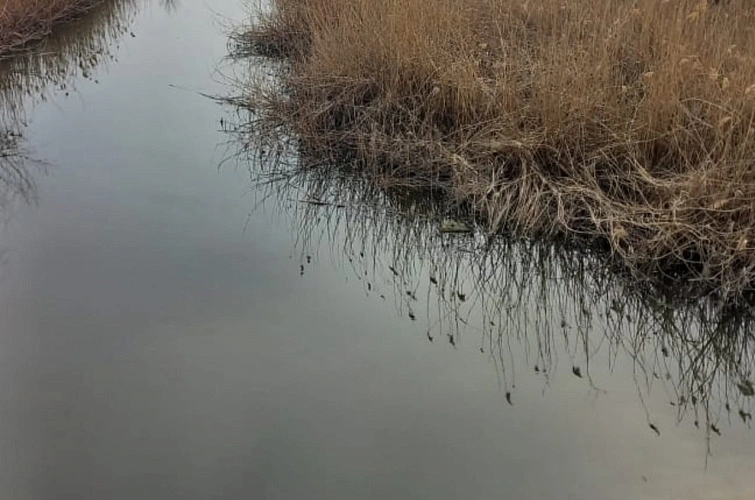 Фото: Минприроды Ростовской области