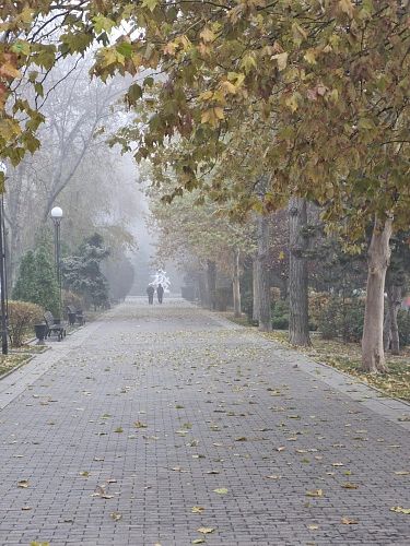 Фото: из публикаций 1Рнд