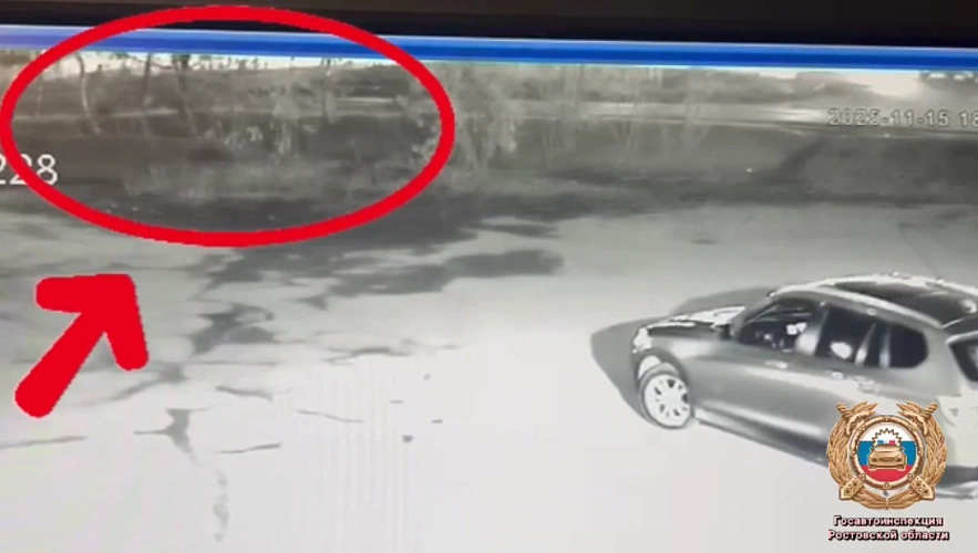 Фото: Госавтоинспекции Ростовской области 