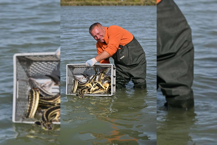 Фото: ТГ канала Ростовская АЭС