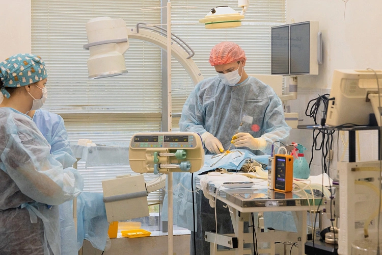 Фото: Сергей Верещак