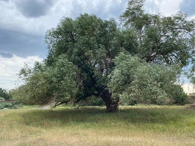 Фото: Правительство Ростовской области