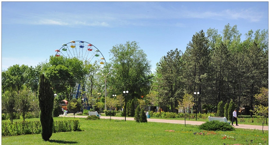 Фото: из публикаций 1Rnd