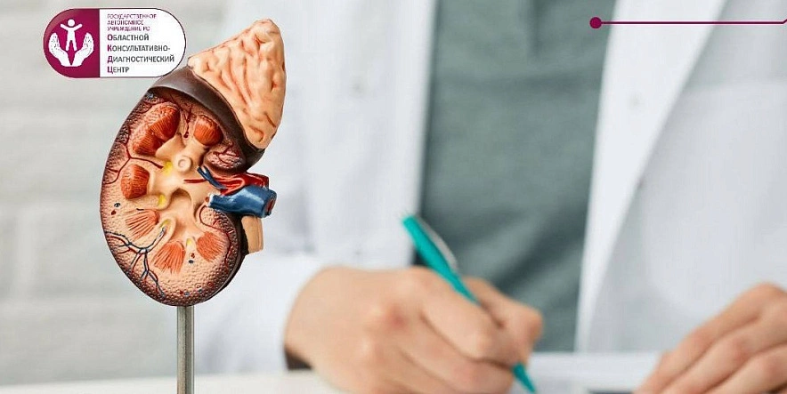 Фото: с сайта ОКДЦ