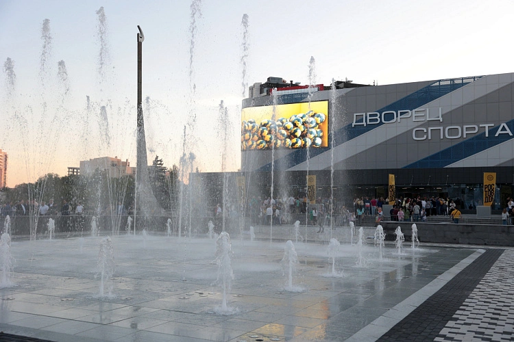 Фото: Пресс-служба губернатора РО