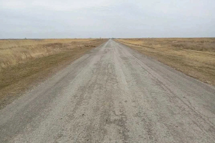 Фото: Правительство Ростовской области 