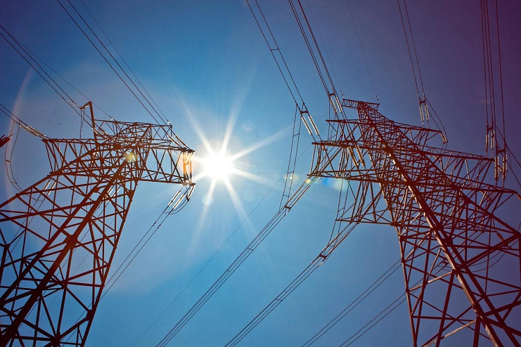 Фото: Правительство Ростовской области 