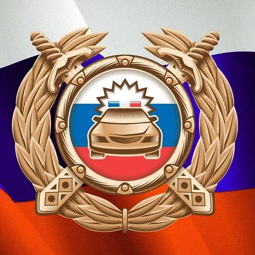 Фото: Госавтоинспекция РО