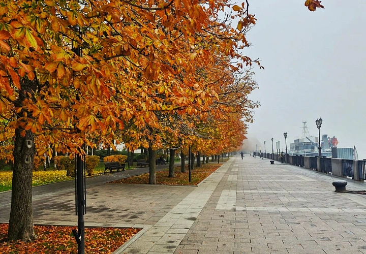 Фото: Роман Неведров