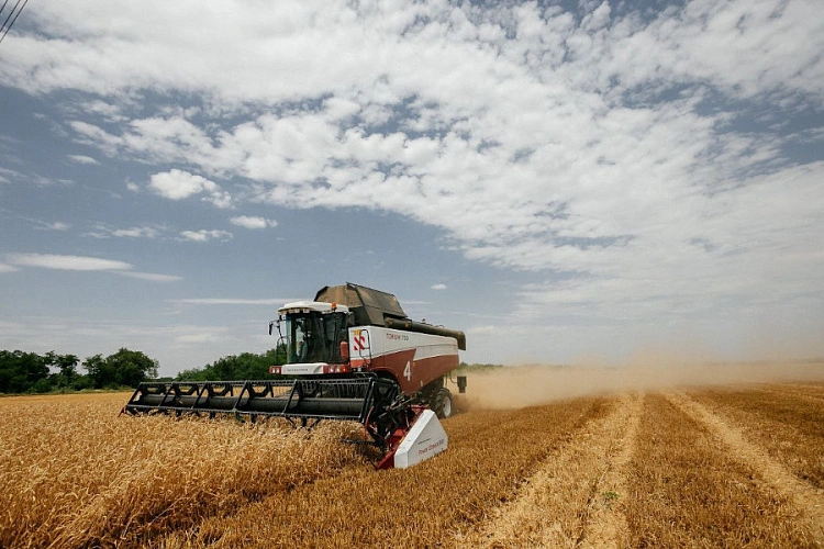 Фото: пресс-службы Сбера