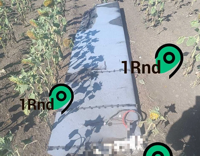 Фото: архив 1rnd