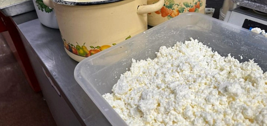 Фото: творог в столовой \\ кадр 1rnd.ru