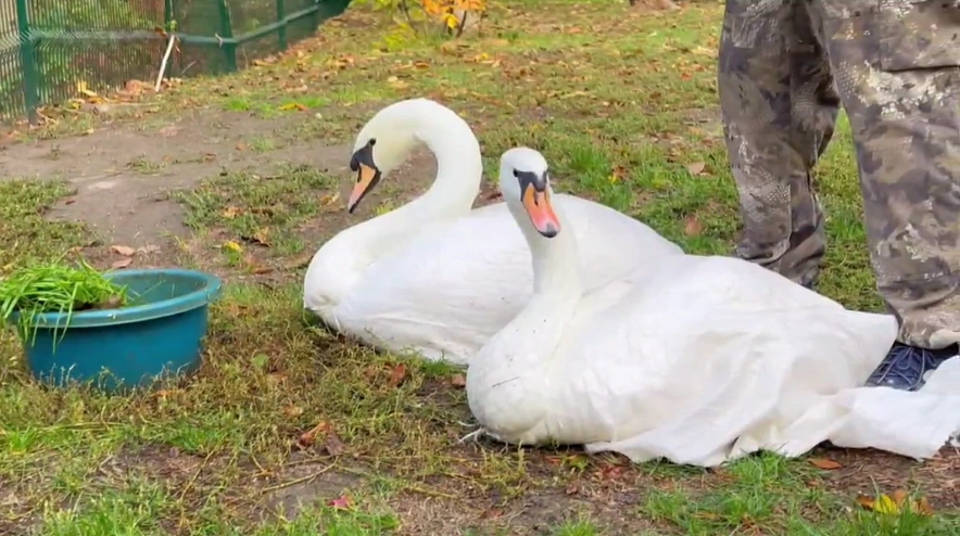 Фото: Ростовский-на-Дону зоопарк