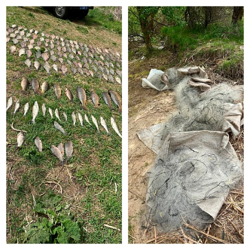 Фото: пресс-служба Управления на транспорте МВД по СКФО