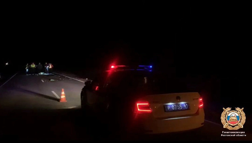 Фото: Госавтоинспекции Ростовской области 