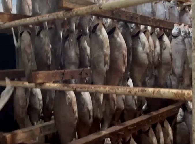 Фото: из публикаций 1Рнд