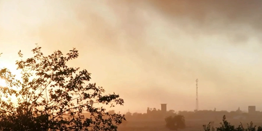 Фото: кадр из социальных сетей