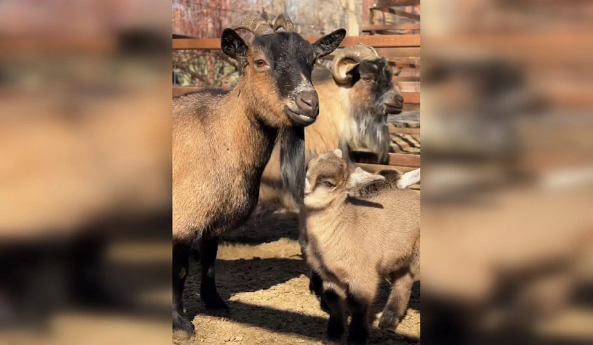 Фото: Парк «Лога»