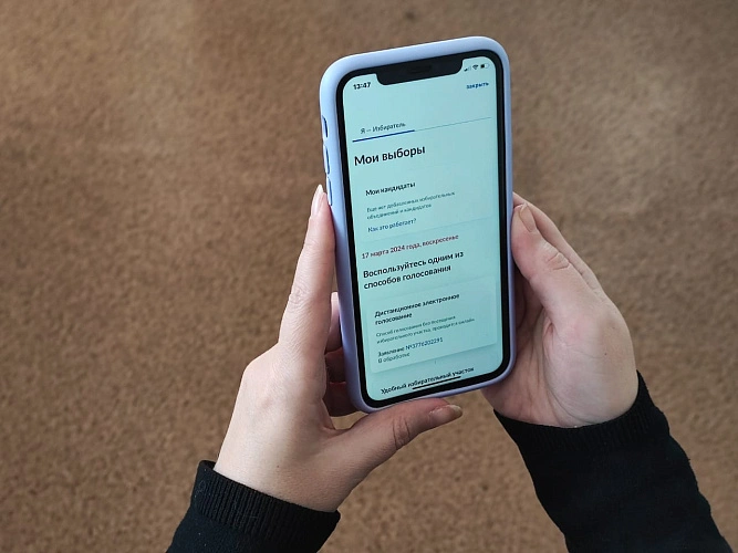 Фото: Приём заявлений для участия в ДЭГ начался 29 января // фото с сайта ИК РО