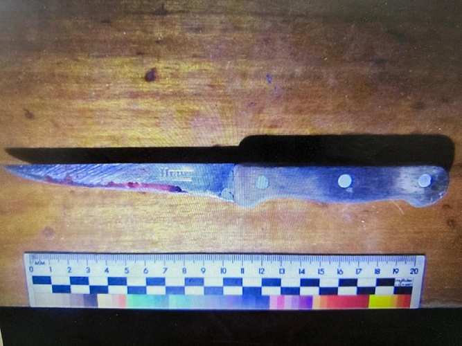 Фото: кадр пресс-службы ГУ МВД по РО