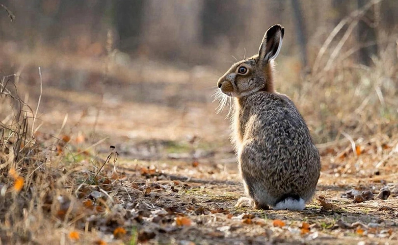 Фото: Нейросеть