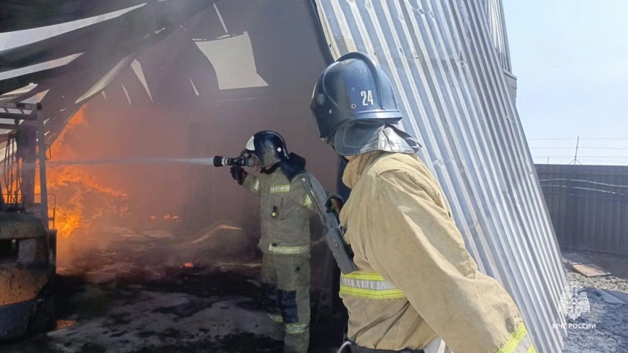 Фото: кадр донского МЧС