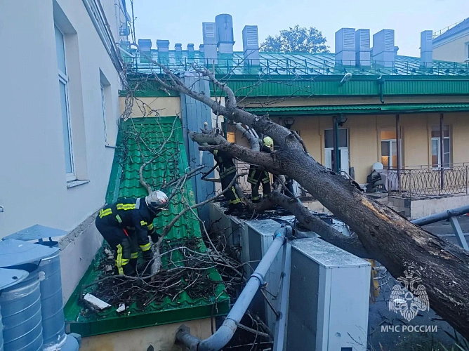 Фото: из архива МЧС по Ростовской области 