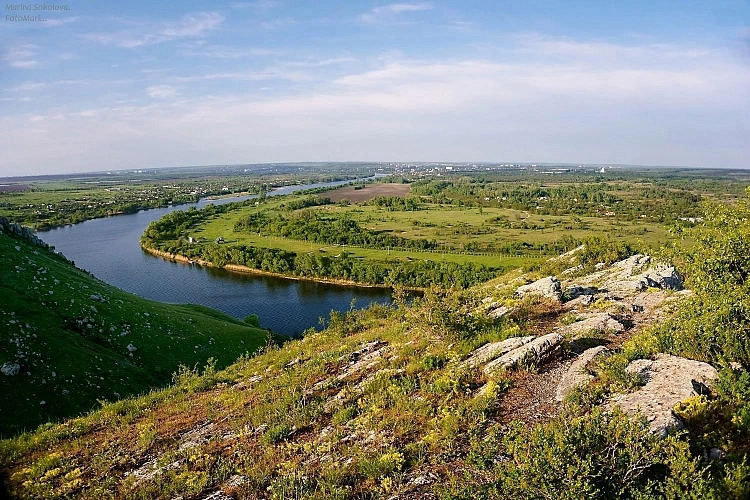 Фото: Марина Соколова/Правительство Ростовской области