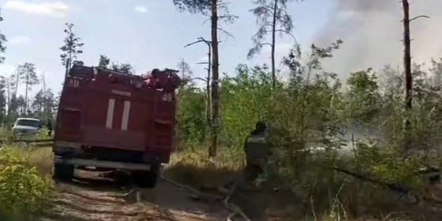 Фото: кадр донского МЧС