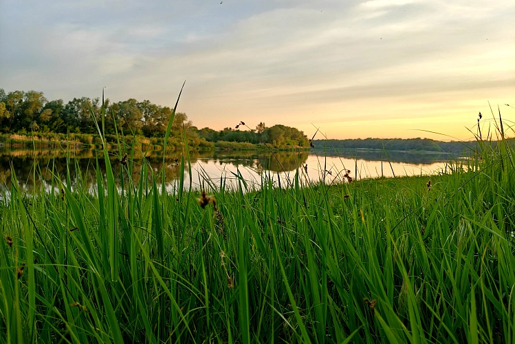 Фото: природа Шолоховского края // фото 1rnd