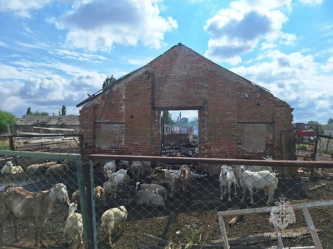 Фото: МЧС по Ростовской области