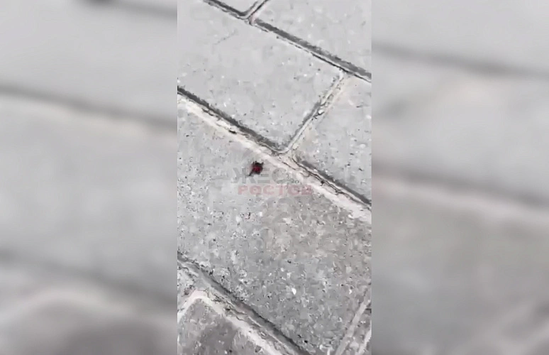 Фото: ТГ канала "Жесть Ростов"