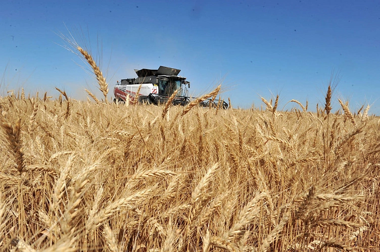 Фото: Аркадия Будницкого